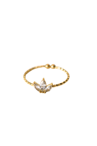 Anel Trio Bloom