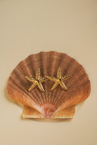 Maré
